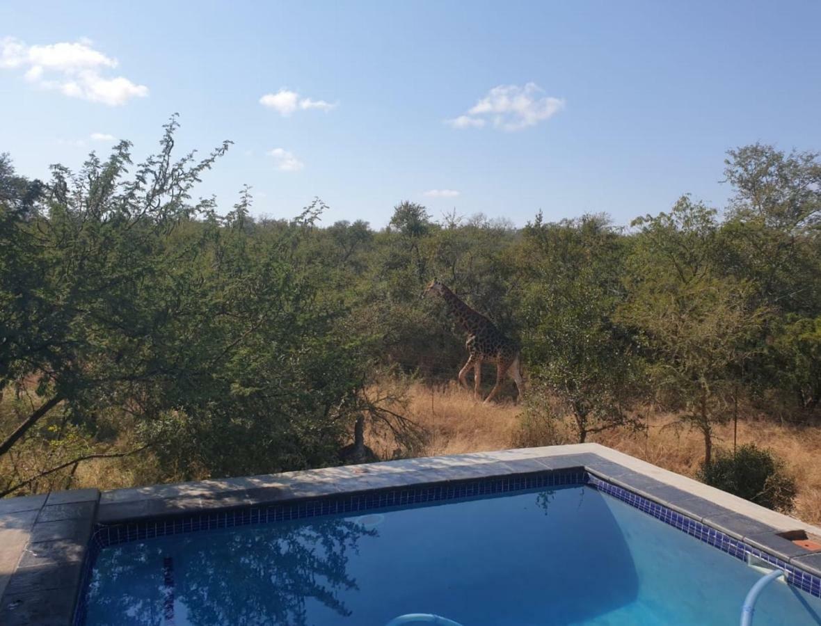Lionsview Private Lodge - 6 Lions Marloth Park Exteriör bild